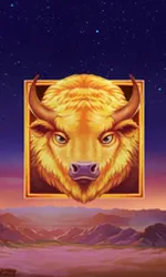 Buffalo's Sun 2
